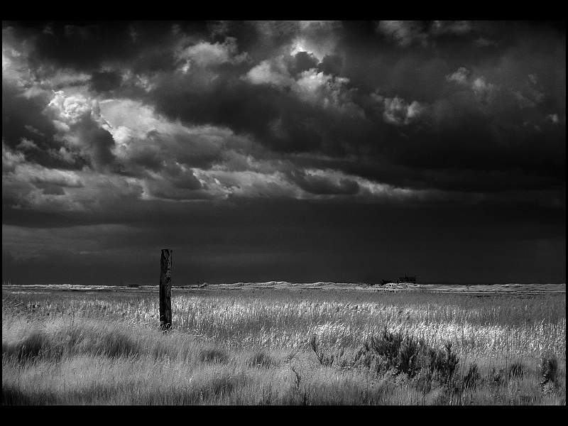 LONE POST.jpg - Lone Post